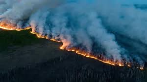 Wildfire